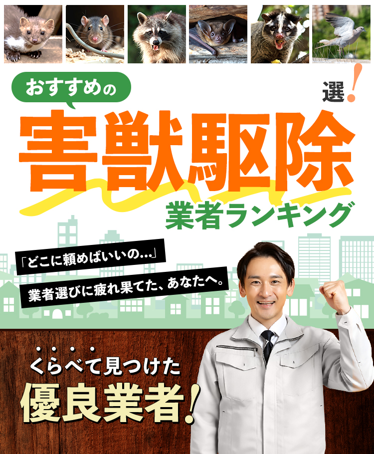 おすすめの害獣駆除業者ランキング|くらべて見つけた優良業者！