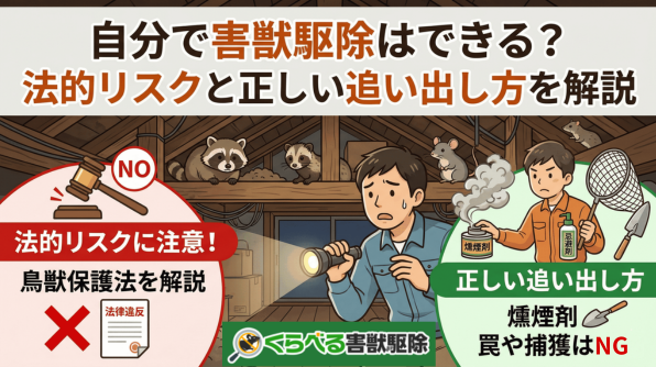 自分で害獣駆除はできる？法的リスクと正しい追い出し方を解説