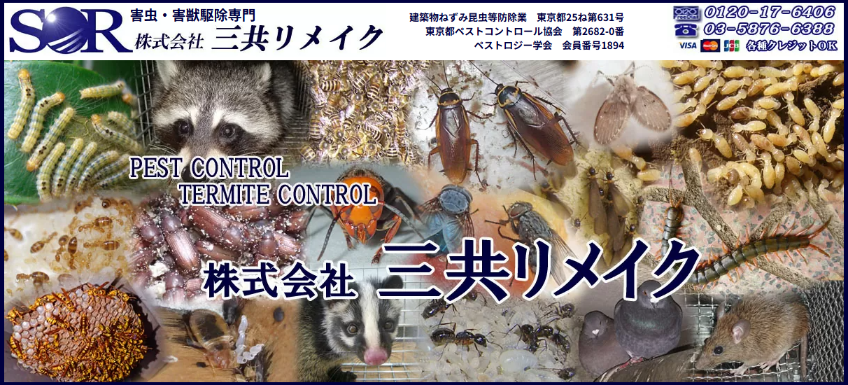 匠のネズミ駆除（株式会社三共リメイク）の口コミ評判